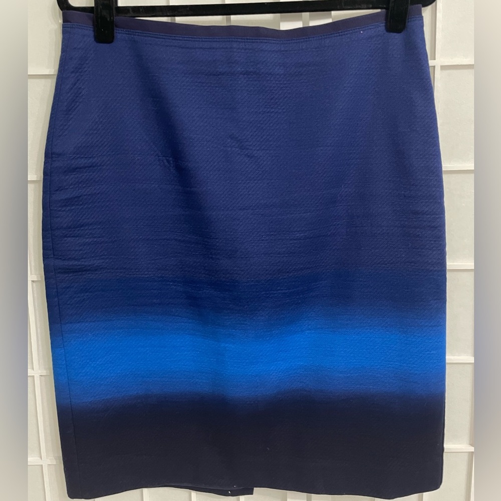 Ann Taylor Loft skirt
